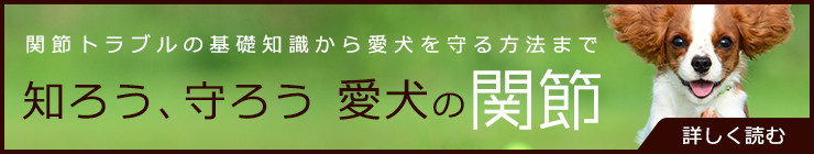 知ろう、守ろう愛犬の関節