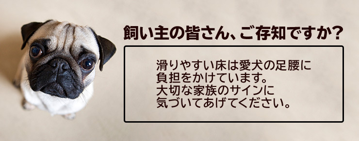 飼い主の皆さん、ご存知ですか？ 滑りやすい床は愛犬の足腰に負担をかけています。大切な家族のサインに気づいてあげてください。