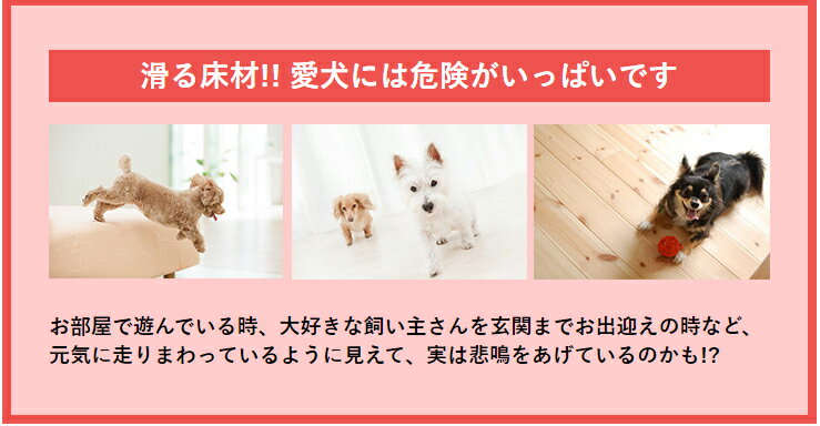 滑る床材!愛犬には危険がいっぱいです