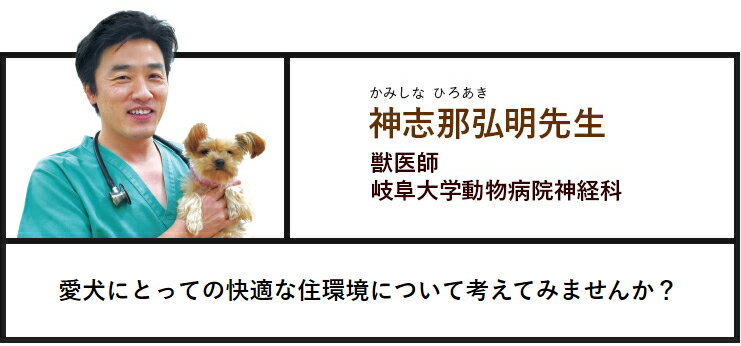 愛犬にとっての快適な住環境について考えてみませんか？