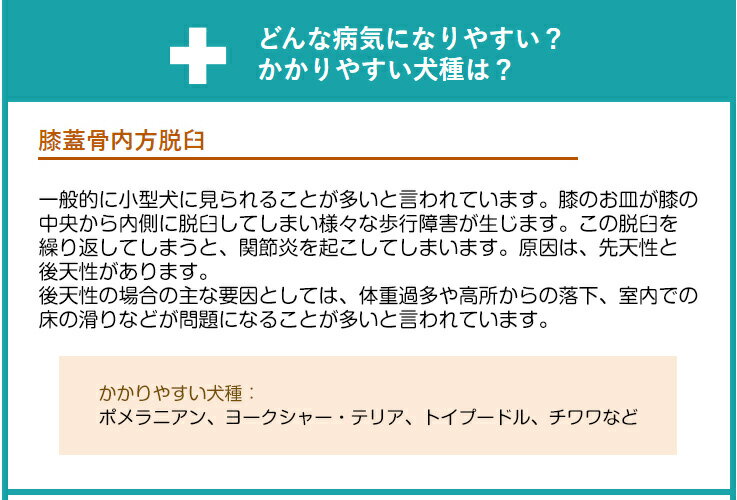 どんな病気になりやすい？かかりやすい犬種は？　膝蓋骨内方脱臼